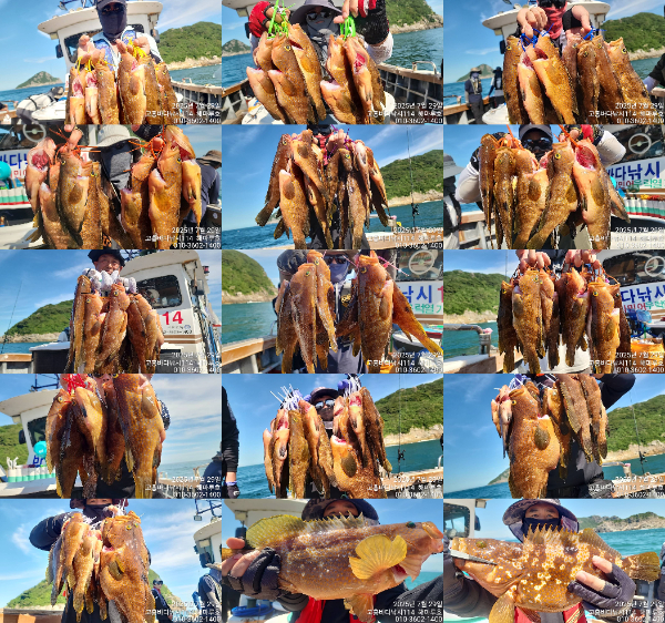 04TimePhoto_20250729_160722-tile.jpg