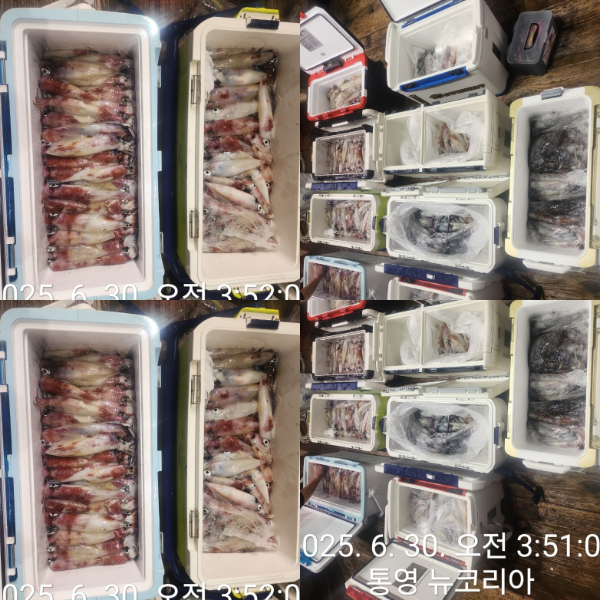 1000066037.jpg
