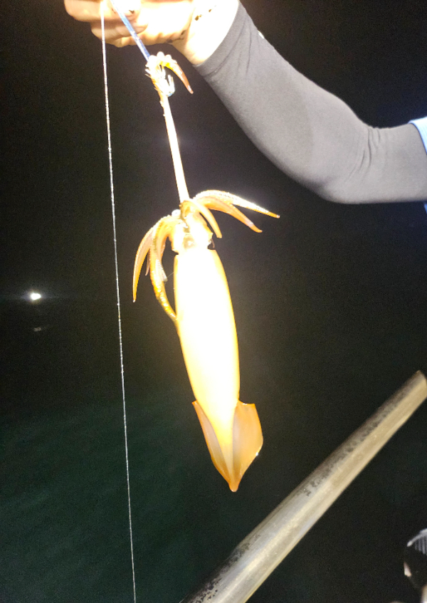 KakaoTalk_20250717_064359477.jpg