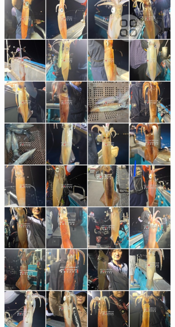 71c5c317fc0ad50c5bb6da18587428a8.jpg