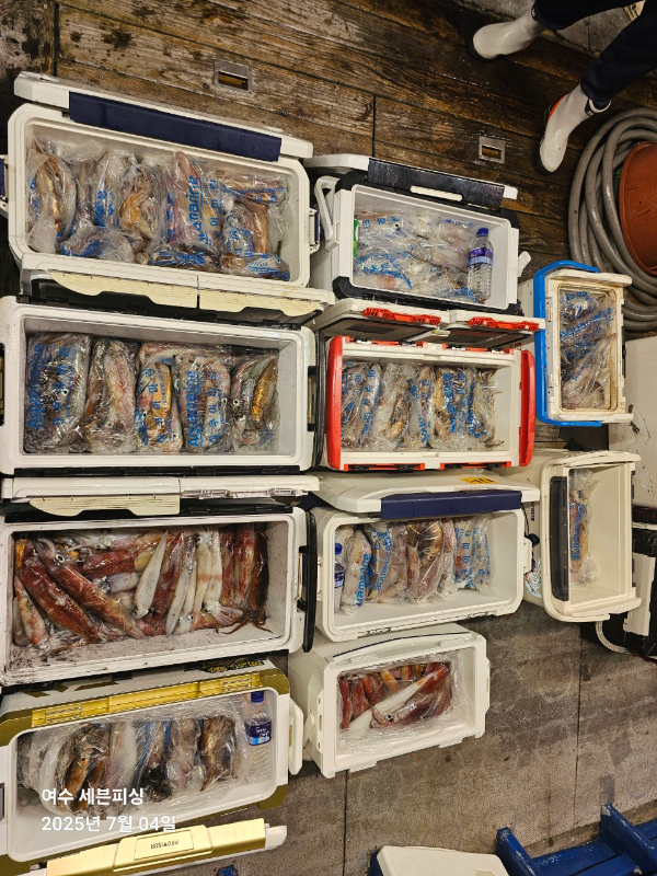 1000044272.jpg