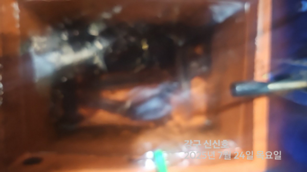 신신낚시 강구점 신신호_사진_20250724_14.jpg