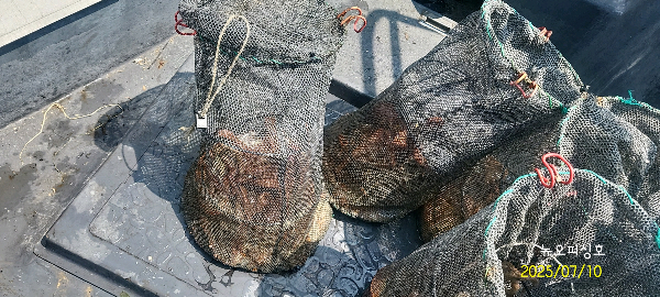 DateCamera0710140412.jpg