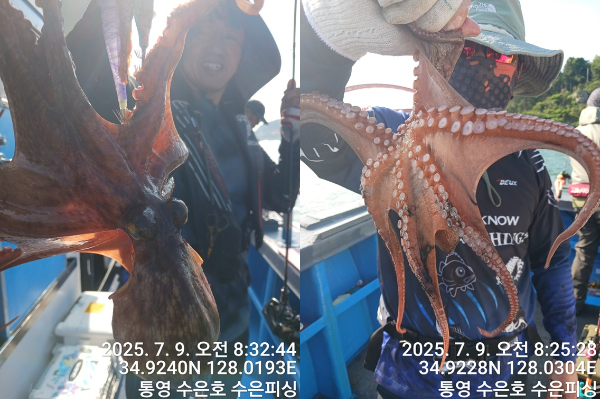 1752019494627-tile.jpg