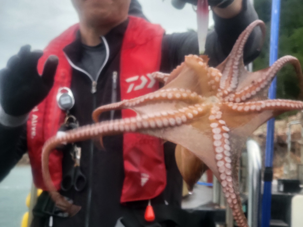 751ed88c41e7bf65167b39b3c93ddf1f.jpg