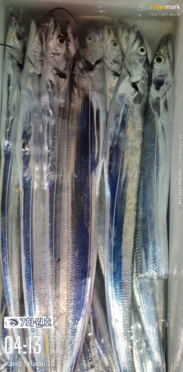 6D4AE835-304C-4E99-B80E-2699EEDC48AC.jpeg
