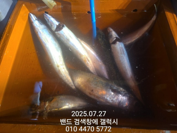 KakaoTalk_20250728_013952016_02.jpg