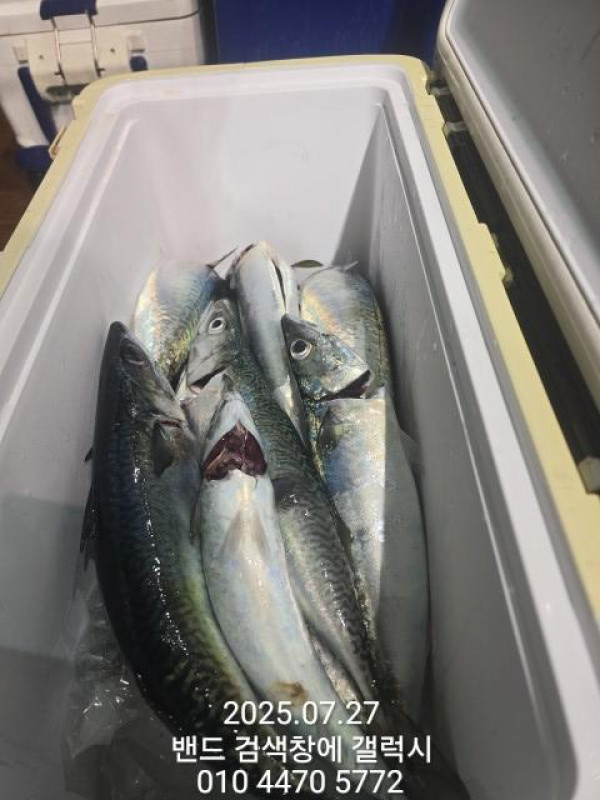 KakaoTalk_20250728_013952016_06.jpg