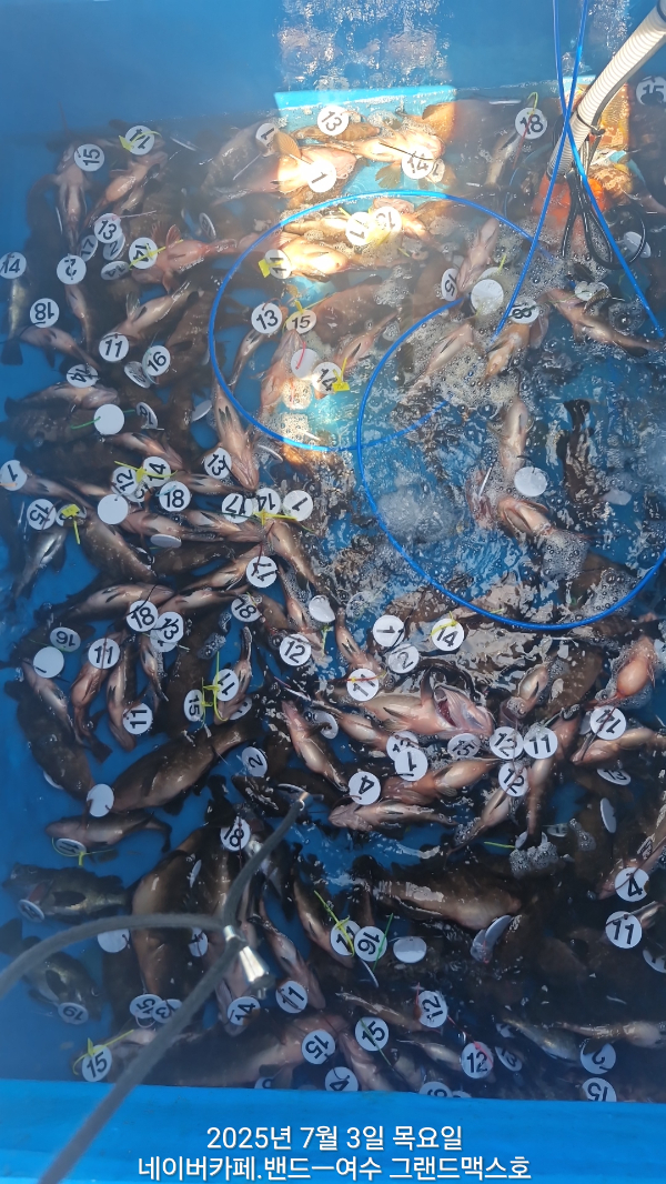 1000084286.jpg