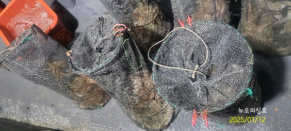 DateCamera0712231822.jpg