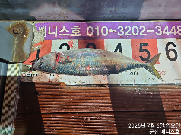 KakaoTalk_20250706_055704749_01.jpg