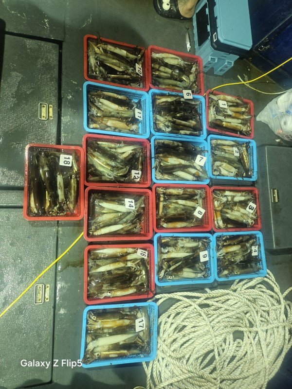 신신낚시 강구점 신신호_사진_20250706_11.jpg