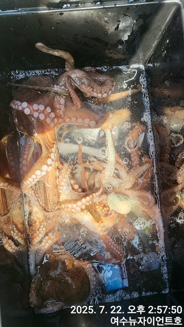 1753164794313-5.jpg