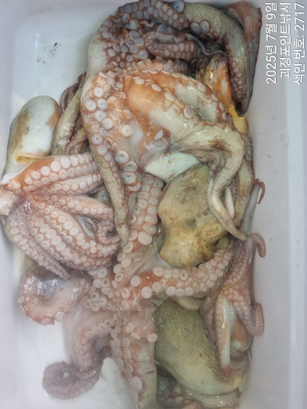 KakaoTalk_20250709_152814684_07.jpg
