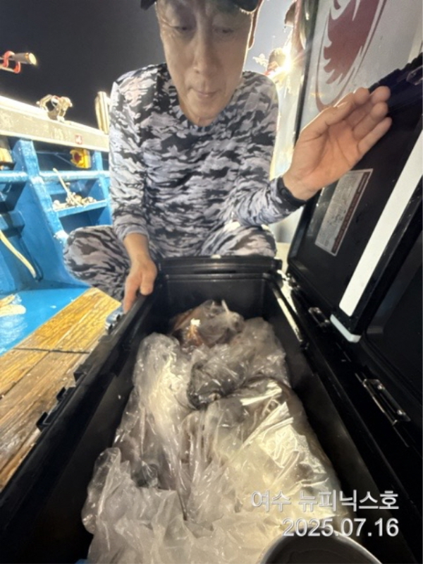 큰7월16일한치 (1).jpg