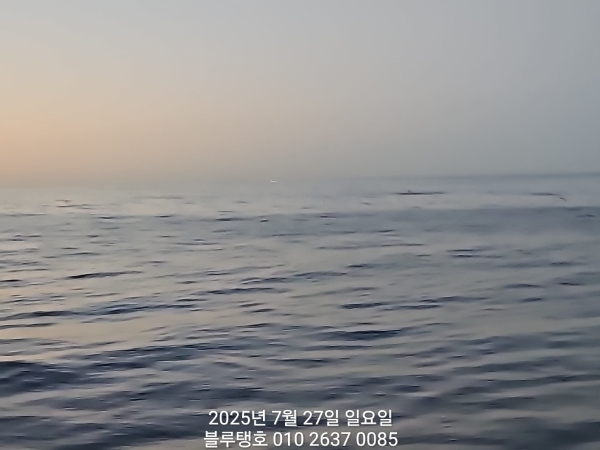 20250727_194939.jpg