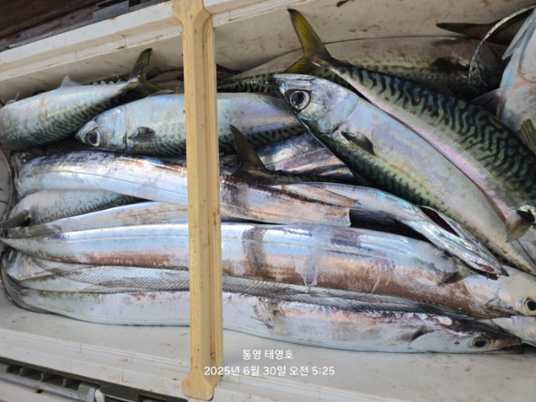 KakaoTalk_20250630_063408165_03.jpg