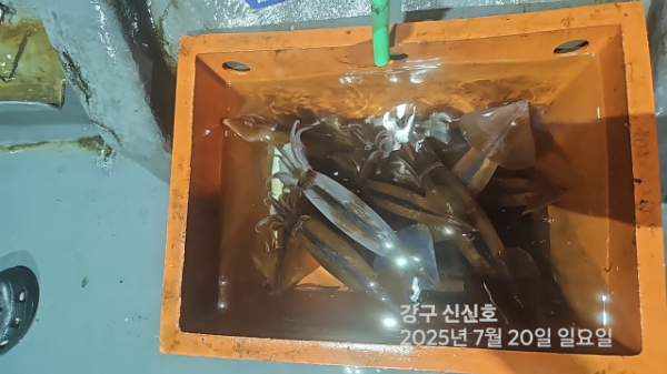 신신낚시 강구점 신신호_사진_20250720_12.jpg
