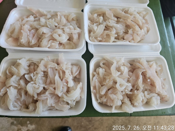 [크기변환]공현진낚시마트(돌핀호)_사진_20250726_15.jpeg