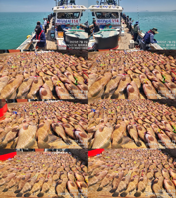 81c40cdd75852cd6604df7a2667899b9.jpg