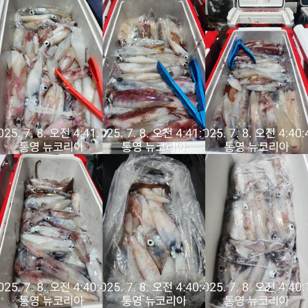82506eb4abf2585cb64fe5b1313fc991.jpg