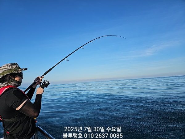 20250730_173915.jpg