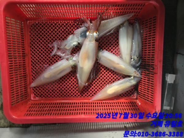 82fa29e35dee25c825cdd5195005cbbd.jpg