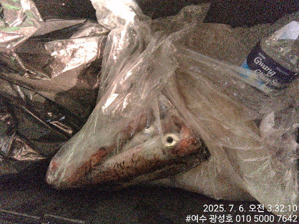 KakaoTalk_20250706_112615269_09.jpg