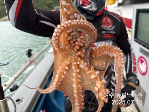 7월13일문어 (24).jpg