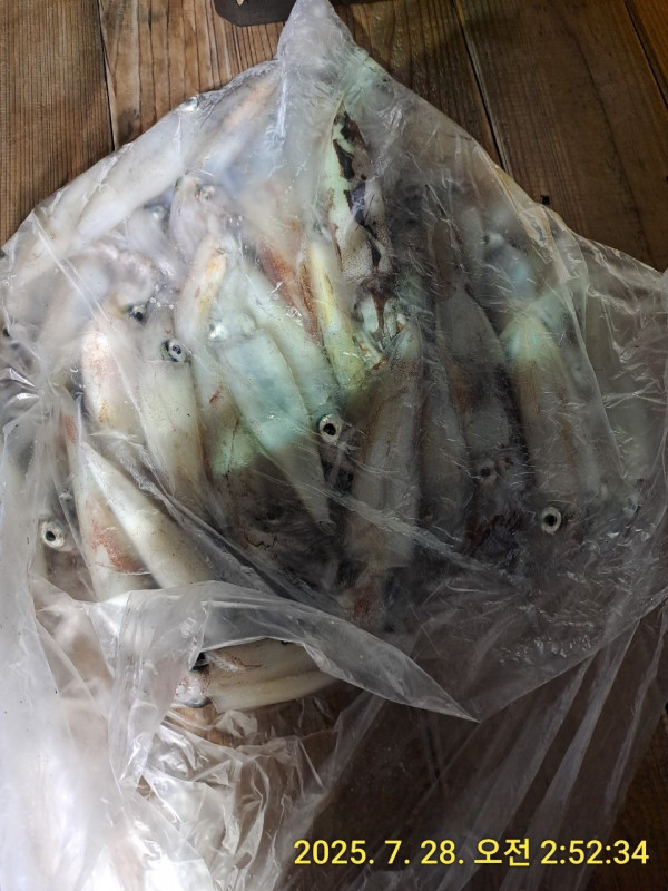바다꾼낚시(신아라호)_사진_20250728_13.jpg