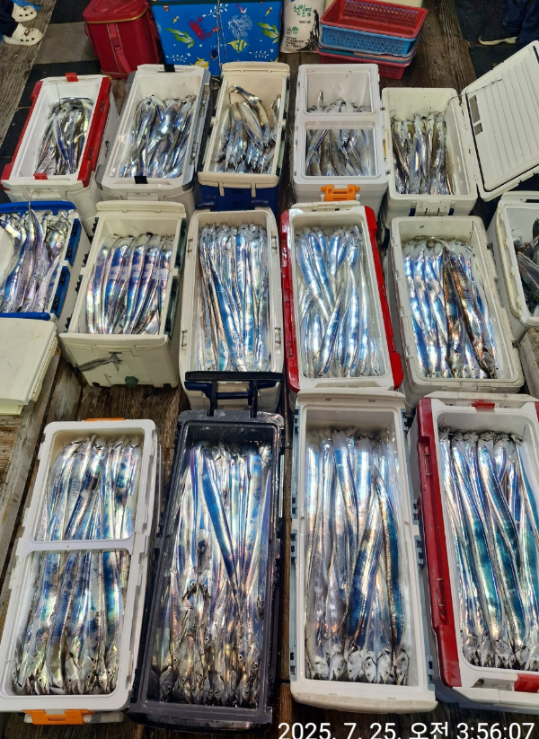 83eaa7418fd7c2fac4742029cf06106d.jpg