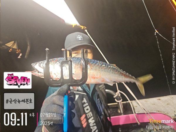 b_658Ud018svcygxz25f0f9kh_82sd02.jpg