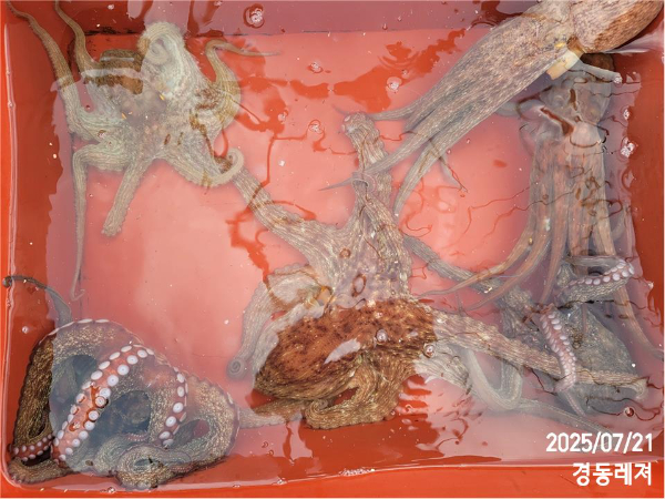 슬라이드0003.jpg
