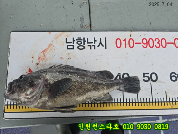 7월4 썬 (19).jpg