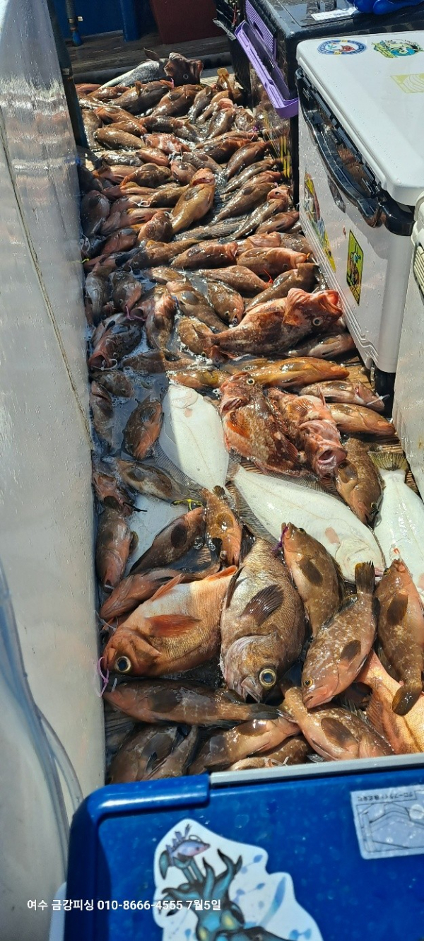 여수금강피싱_사진_20250705_1.jpg