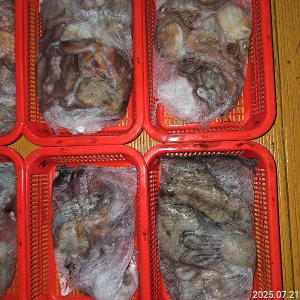 성진피싱 (진해 수도)_사진_20250721_12.jpg