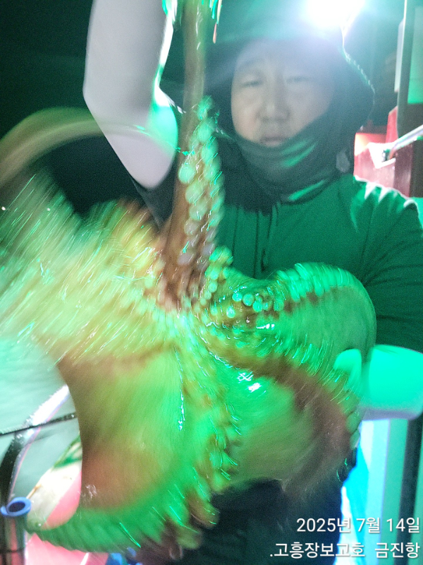1000024811.jpg