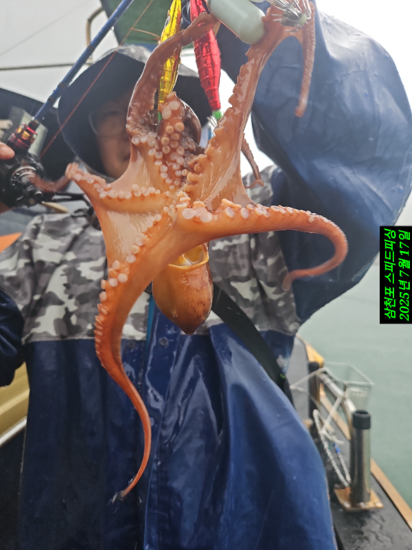 KakaoTalk_20250717_171926816_07.jpg