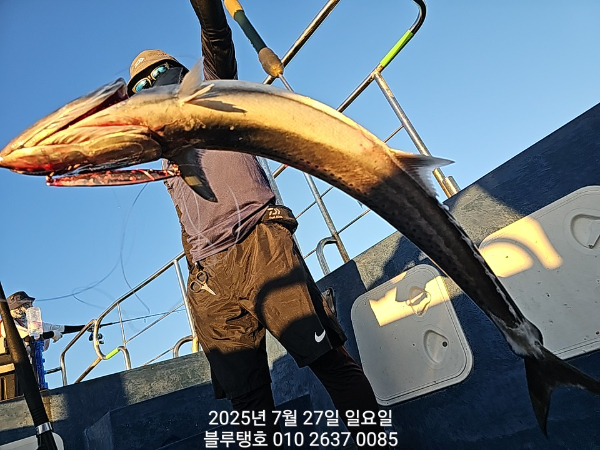20250727_190554.jpg