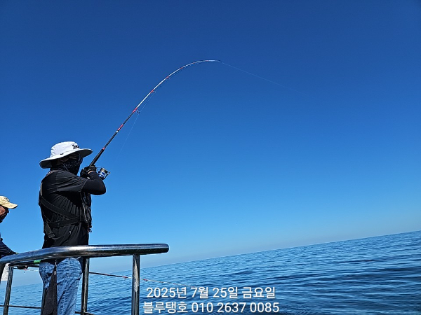 20250725_151644.jpg