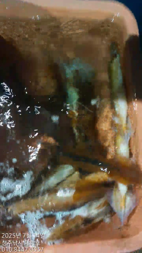 1000026063.jpg