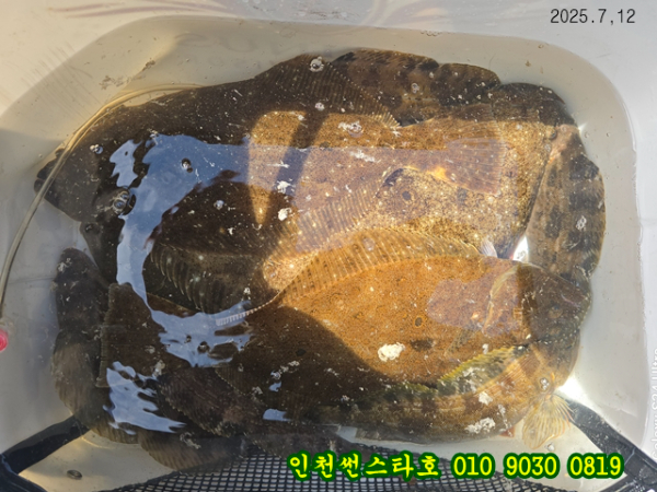 7월12 썬 (1).jpg