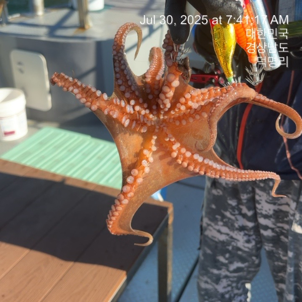 KakaoTalk_20250730_114026729_04.jpg