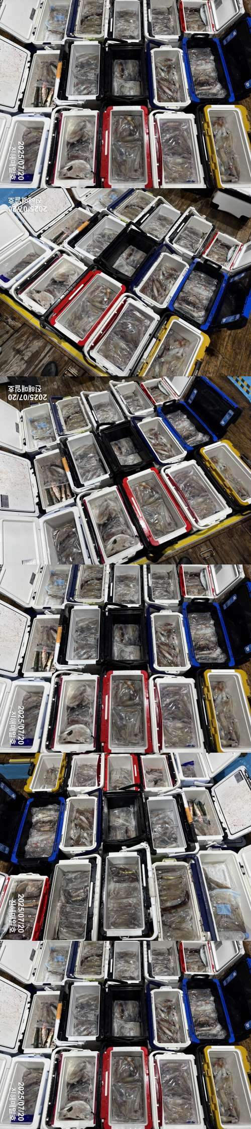 왕한치3.jpg