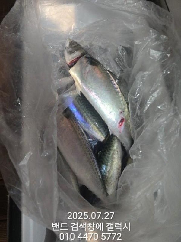 KakaoTalk_20250728_013952016_03.jpg