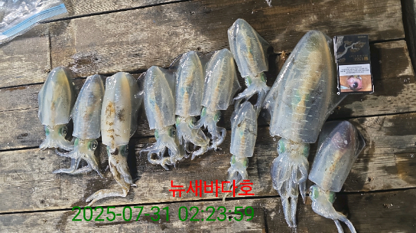 8cd962c23dc74d9f25fd664bd0b3da96.jpg