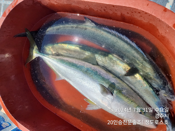 TimePhoto_20240731_104210.jpg