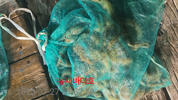 8d729dfcd87234a9be8437439639cac3.jpg