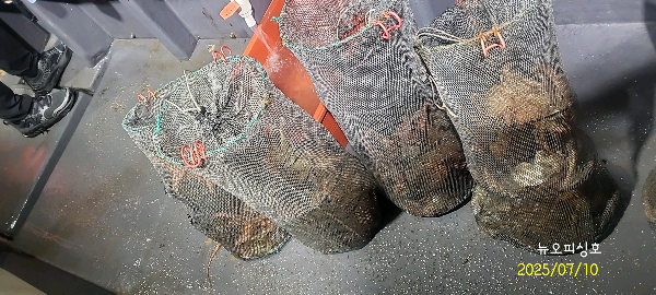 DateCamera0710001112.jpg