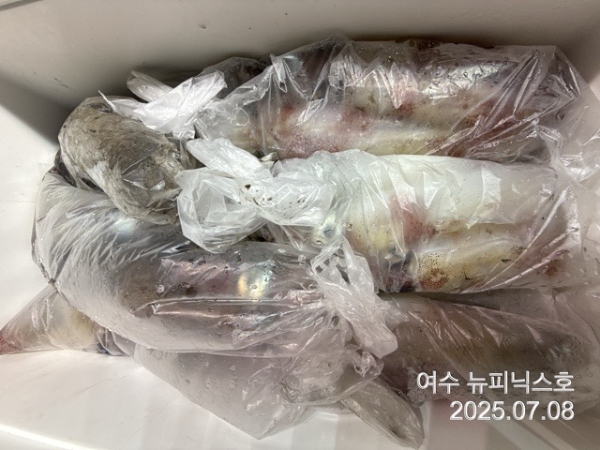 7월8일한치 (2).jpg